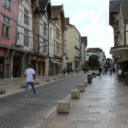 Le Millesime 2 : Hyper Centre Apartment Troyes