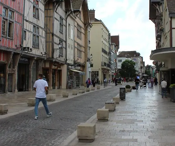 Le Millesime 2 : Hyper Centre Apartment Troyes