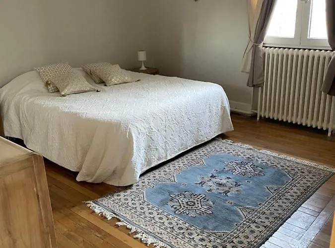 Le Millesime 2 : Hyper Centre Apartment Troyes